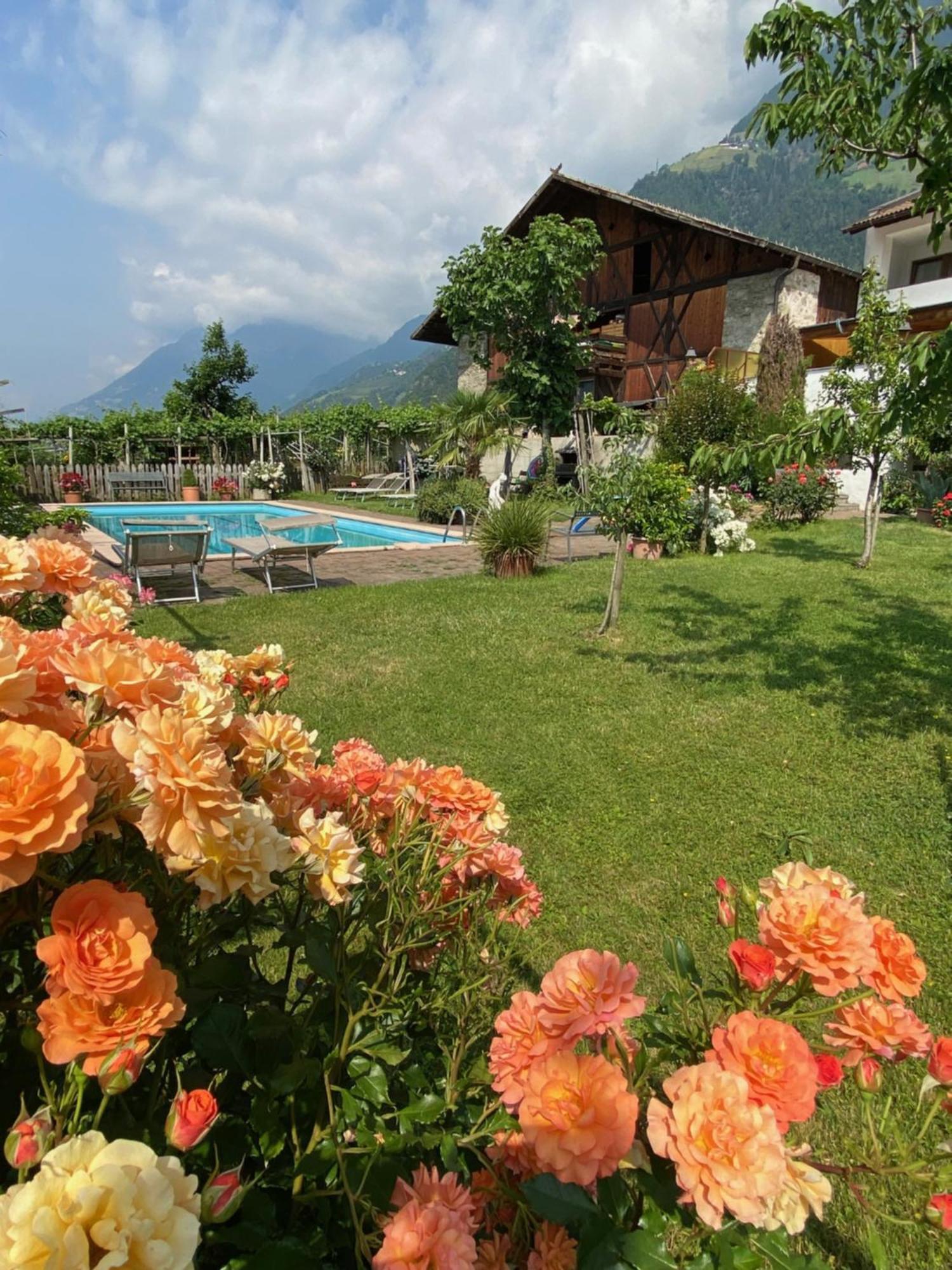 Garni-Hotel Tritscherhof Dorf Tirol Exterior foto
